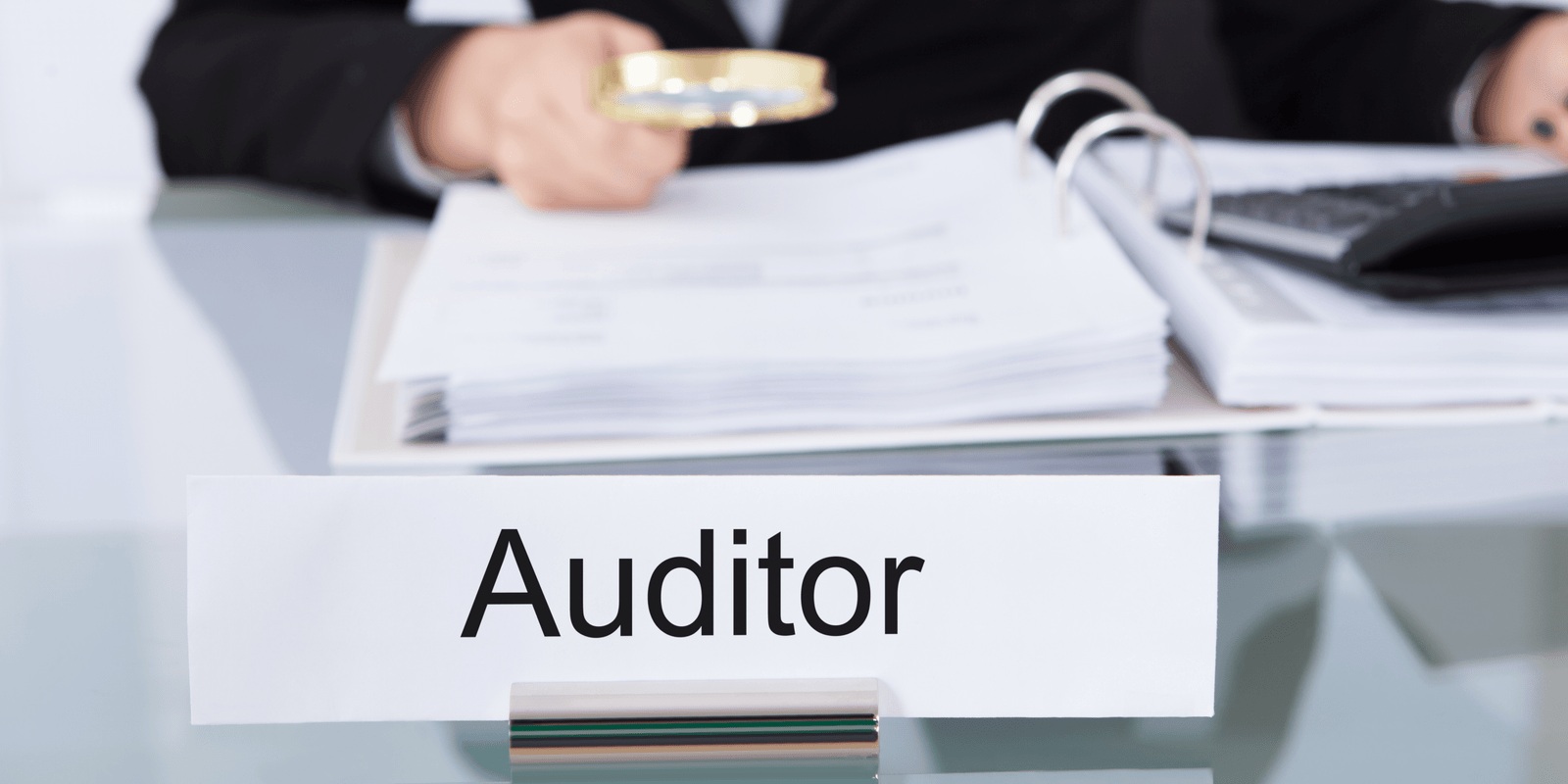 Auditor